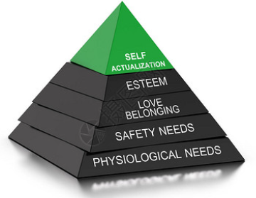 自我价值(一):恋爱脑与科研狗